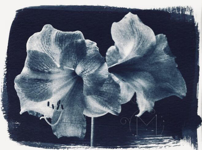 Blauwdruk omgekleurt